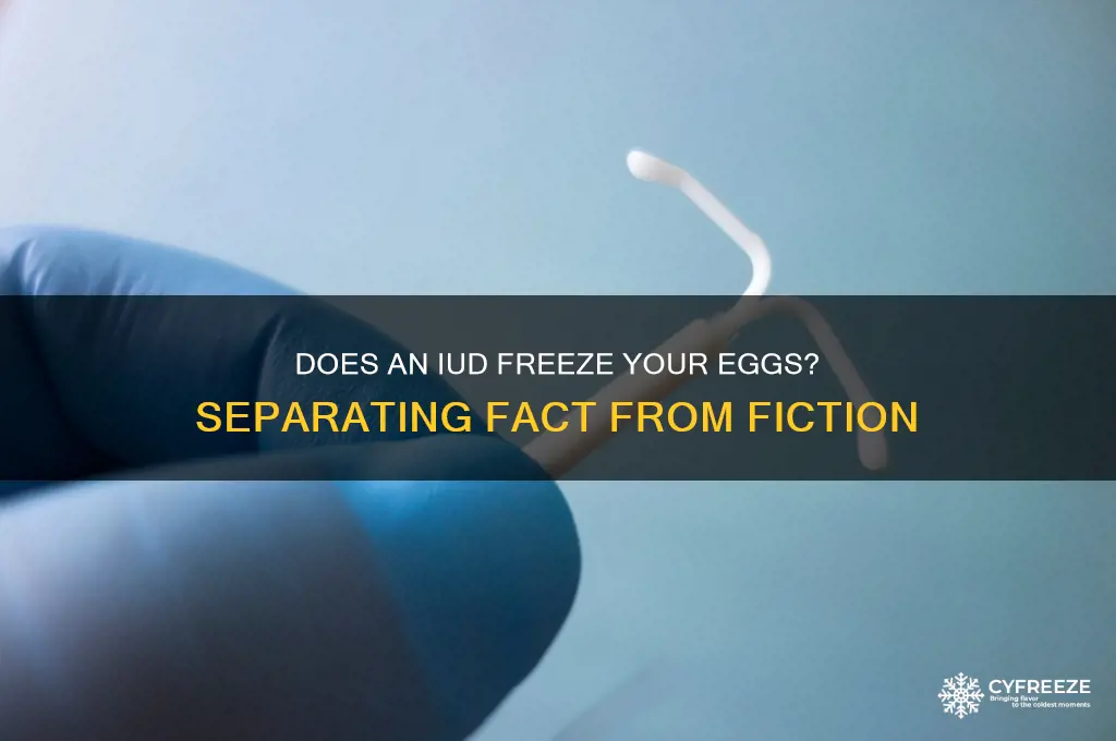 does an iud freeze your eggs