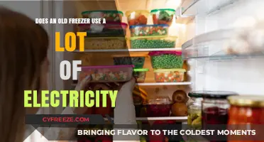 Old Freezers: High Energy Consumption or Cost-Effective Storage?