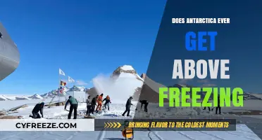Antarctica's Temperature Secrets: Does It Ever Rise Above Freezing?