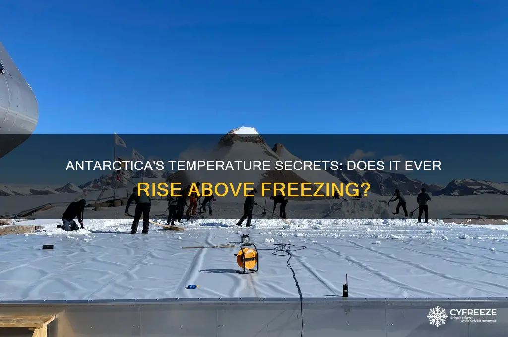 does antarctica ever get above freezing