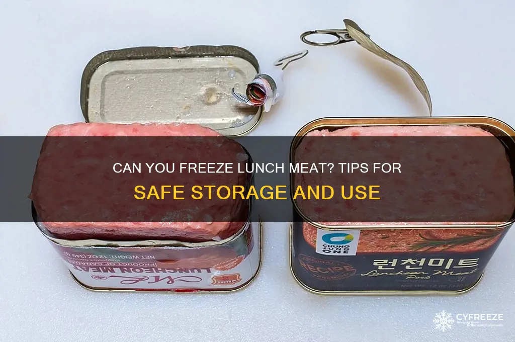 does anybody freeze lunch meat for use later