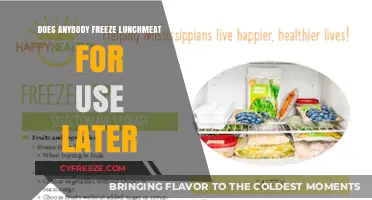 Can You Freeze Lunchmeat? Tips for Safe Storage and Later Use