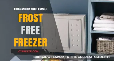 Compact Frost-Free Freezers: Do They Exist?