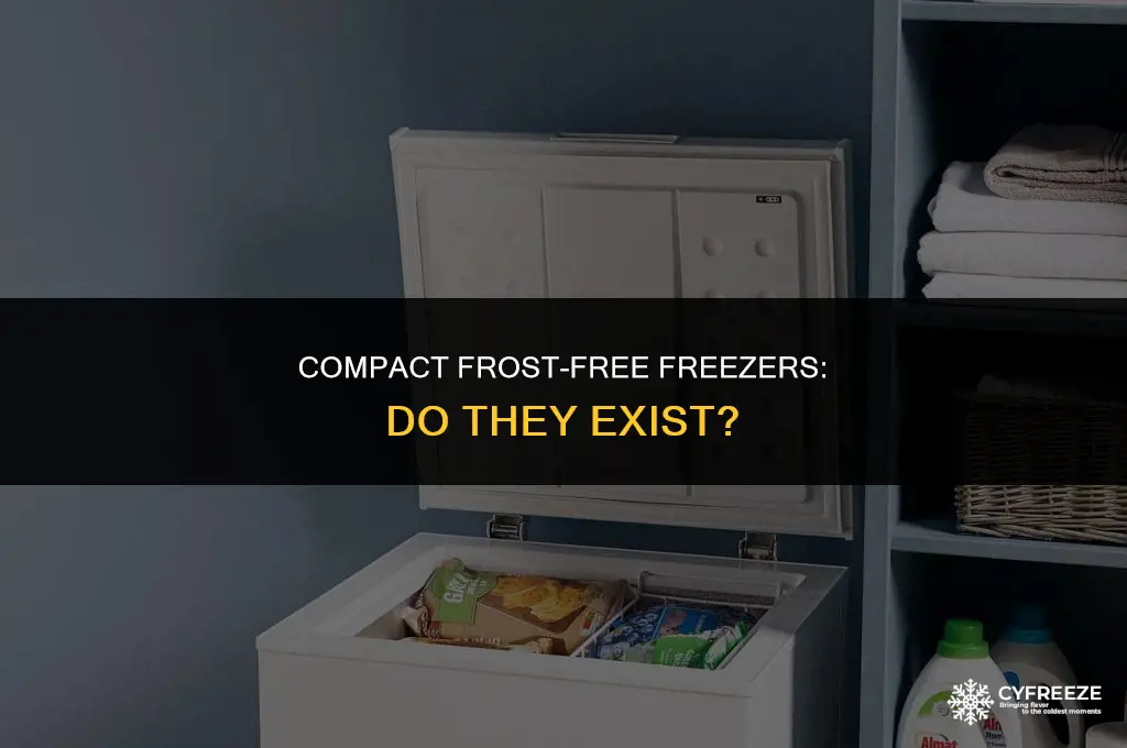 does anybody make a small frost free freezer