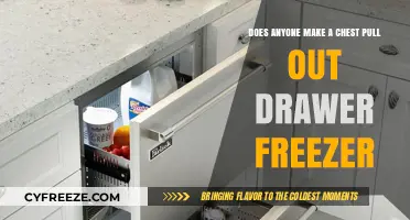 Innovative Kitchen Storage: The Quest for a Chest Pull-Out Drawer Freezer
