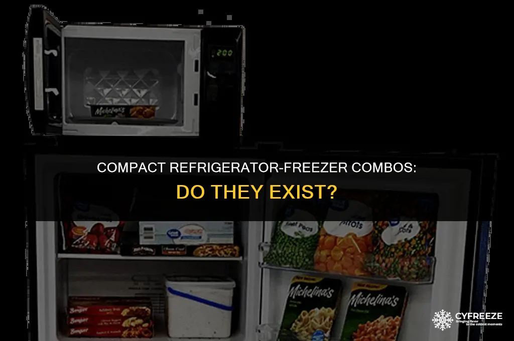does anyone make a large freezer with smaller refrigerator