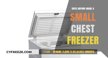 Compact Chest Freezers: Do They Exist and Where Can You Find Them?