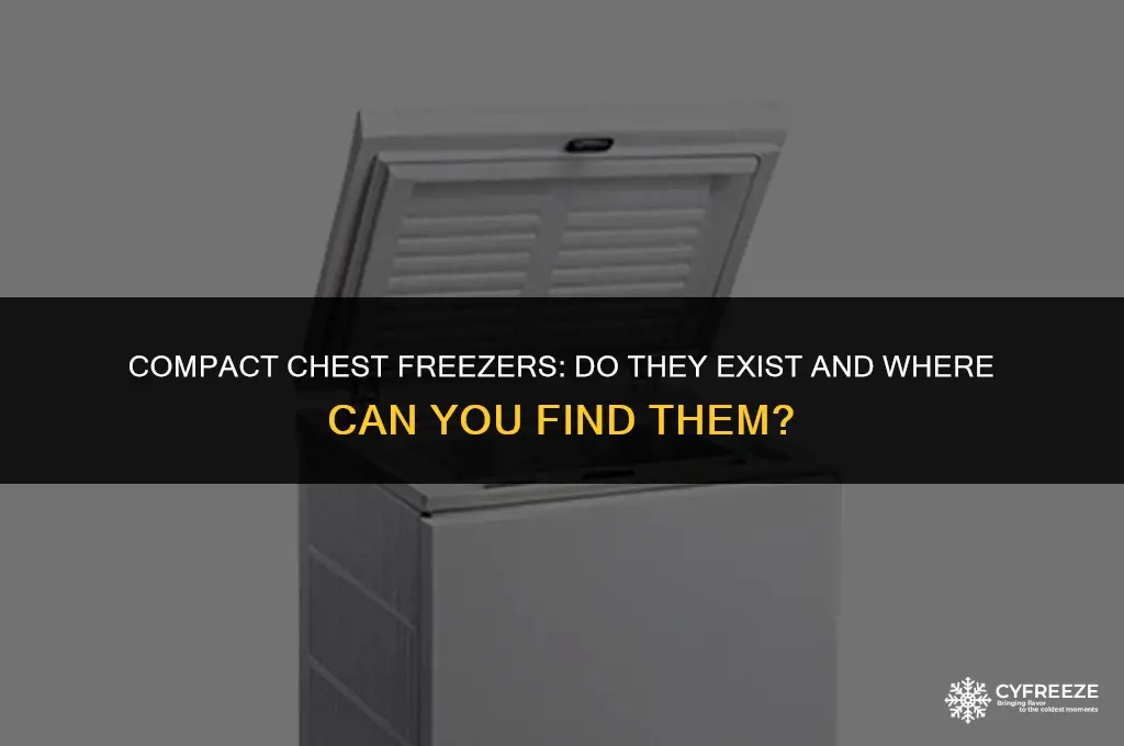 does anyone make a small chest freezer