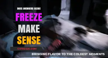 Analyzing the Avengers Scene Freeze: Does It Make Sense?