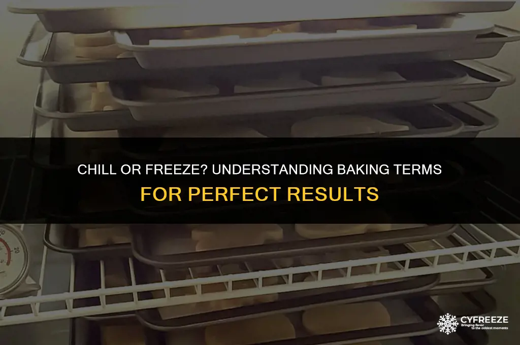 does baking chill mean freezer or fridge