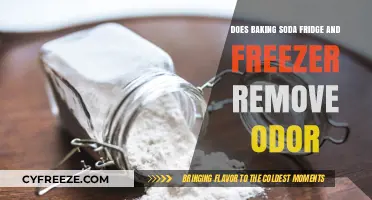 Freshen Up Your Fridge and Freezer with Baking Soda: Odor Removal Tips