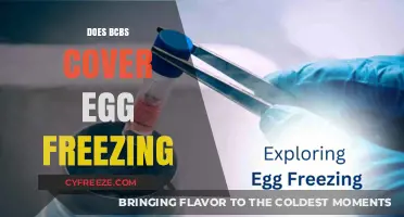 Does BCBS Cover Egg Freezing? Understanding Your Fertility Benefits