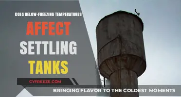 Below-Freezing Temperatures: Impact on Settling Tank Efficiency and Performance