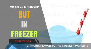 Can Blue Moon Beer Freeze in the Freezer? Quick Facts
