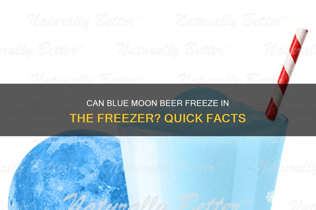 does blue moon gets frozon if but in freezer
