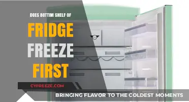 Chill Facts: The Truth About Your Fridge's Bottom Shelf Freezing First