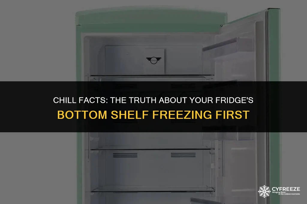 does bottim shelf of fridge freeze first