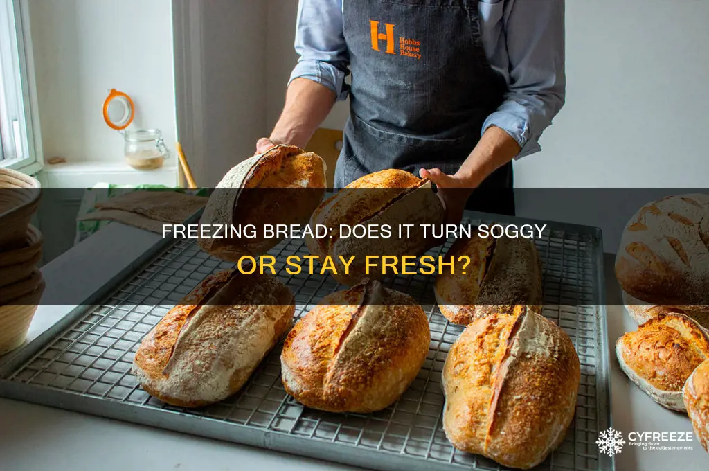does bread get soggy if you freeze it
