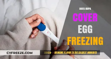 Does Bupa Cover Egg Freezing? A Comprehensive Insurance Guide