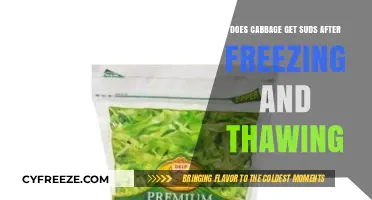 Does Cabbage Get Suds After Freezing and Thawing? Exploring the Science