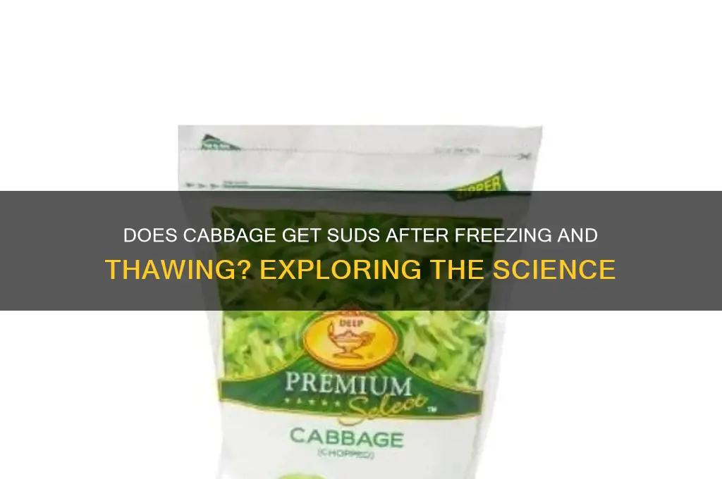 does cabbage get suds after freezing and thawing