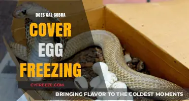 Does Cal-COBRA Cover Egg Freezing? Benefits and Limitations Explained