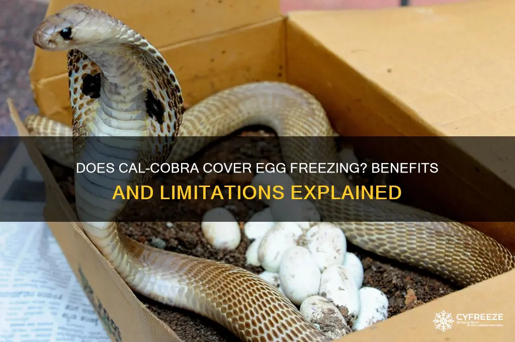 does cal cobra cover egg freezing