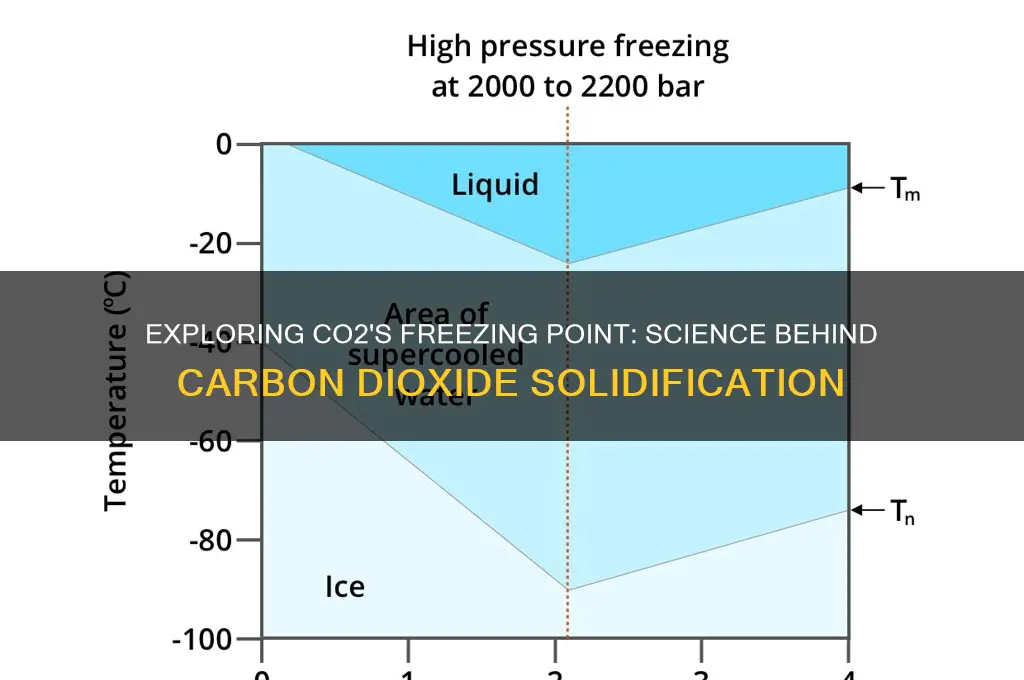 does carbon dioxide have a freezing point