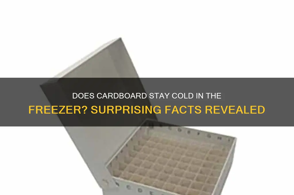 does cardboard get cold in the freezer