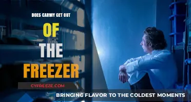 Does Carmy Survive the Freezer? Unraveling the Chilling Mystery