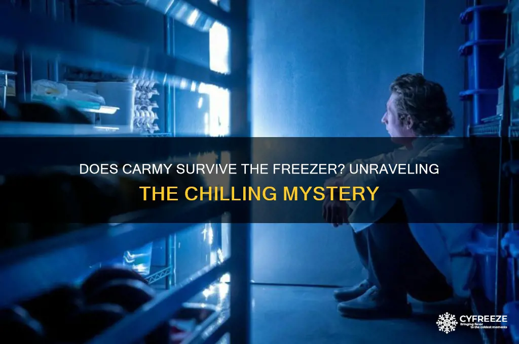 does carmy get out of the freezer