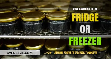 Chilling Caviar: Refrigerator or Freezer?