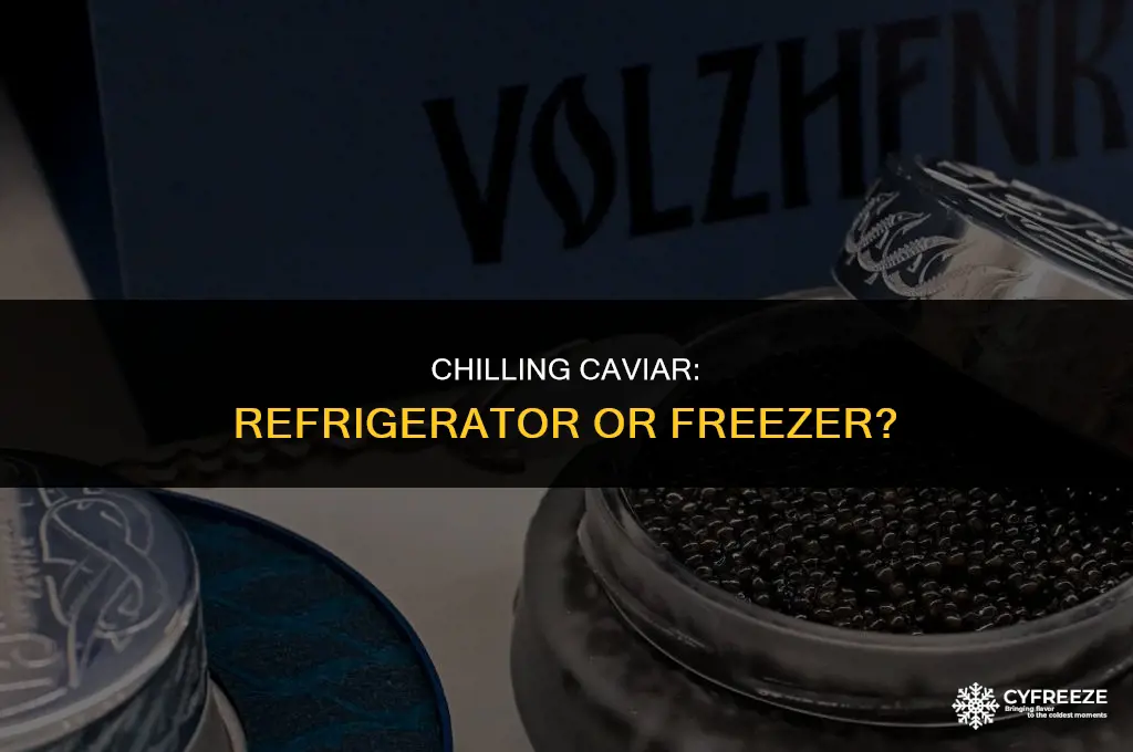 does caviar go in the fridge or freezer