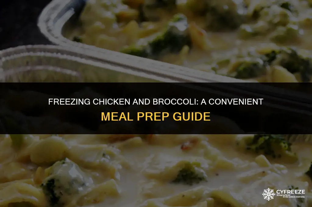 does chicken and broccolli freeze well
