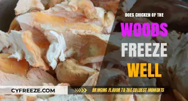 Savoring Sustainability: Freezing Chicken of the Woods for Year-Round Delight
