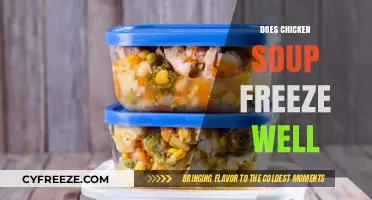 Savoring Comfort: The Ultimate Guide to Freezing Chicken Soup