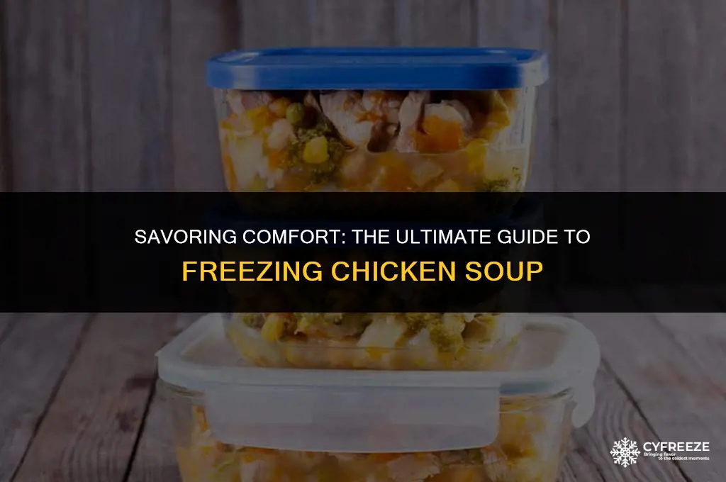 does chicken soup freeze well