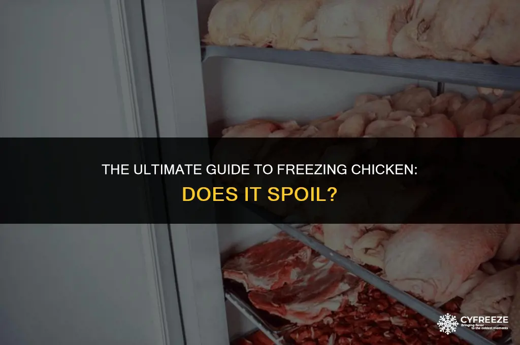 does chicken spoil in the freezer