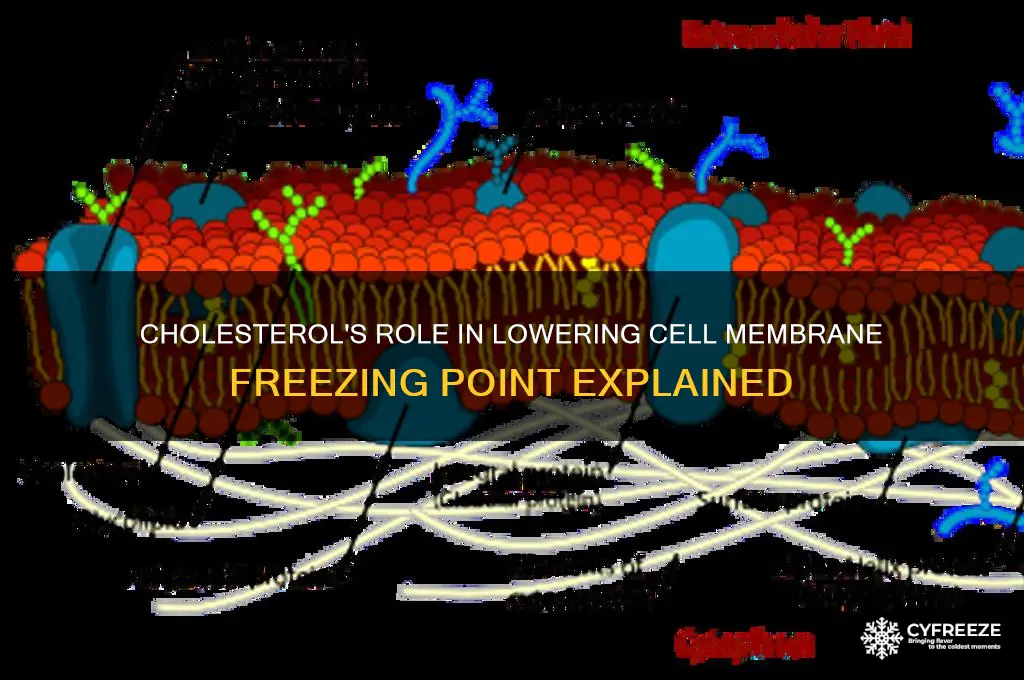 does cholesterol lower the freezing point of the cell