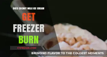 The Scoop on Coconut Milk Ice Cream and Freezer Burn