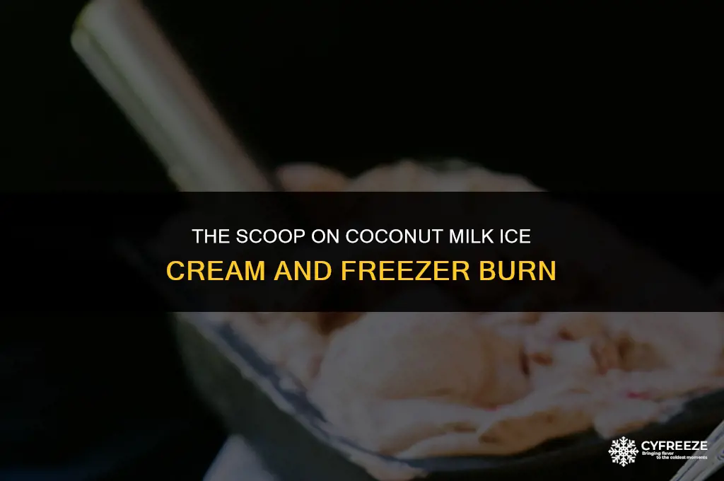 does cocnut milk ice cream get freezer burn