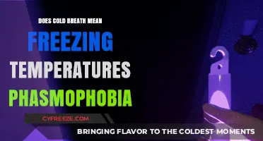 Cold Breath in Phasmophobia: Does It Signal Freezing Temperatures?