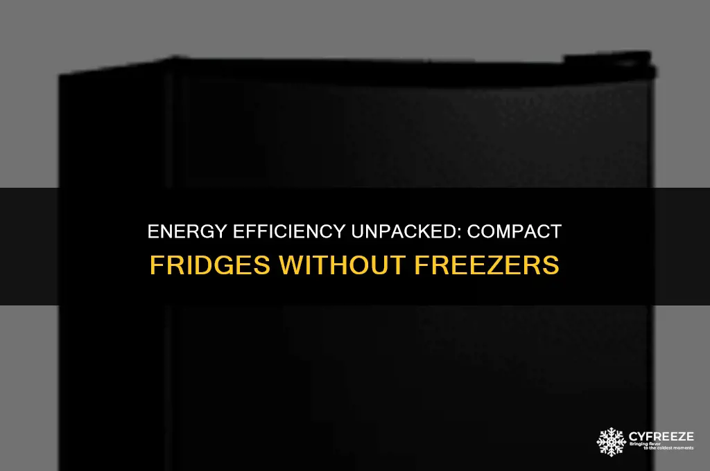 does compact fridge without freezer take less energy to run