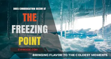Condensation and Freezing: Understanding When Water Vapor Turns to Ice