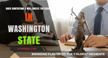 Navigating Probate Disputes: Asset Freeze Implications in Washington State