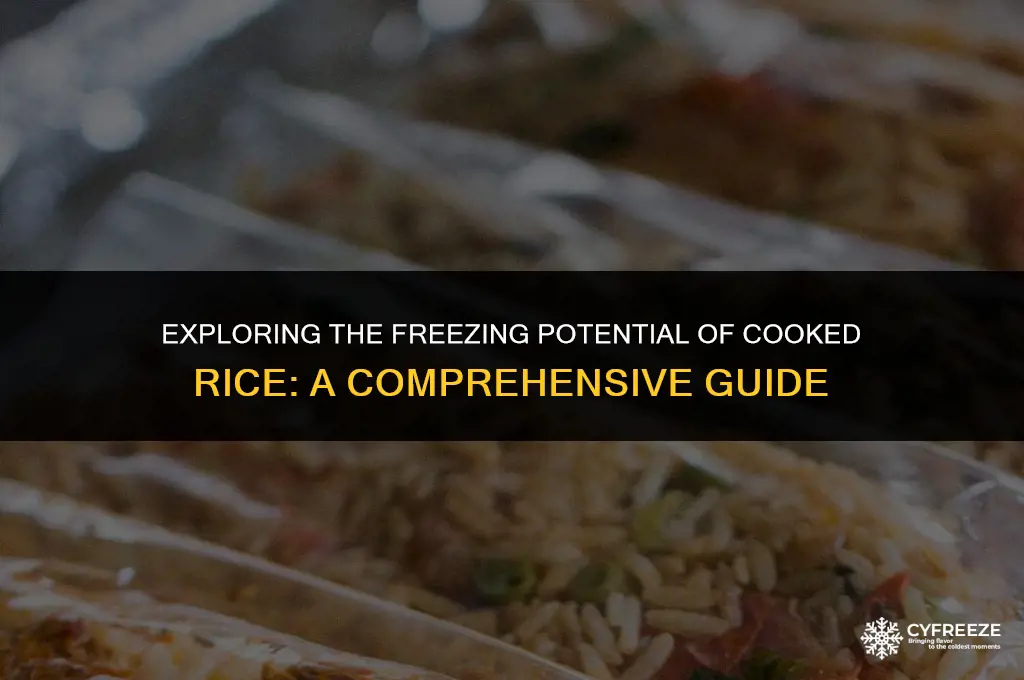 does cooked rice freeze well