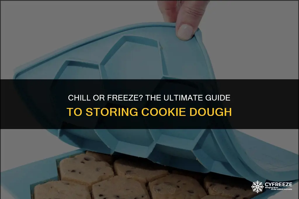 does cookie dough go in the fridge or freezer