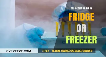 Chilling Facts: COVID-19's Survival in Fridges and Freezers