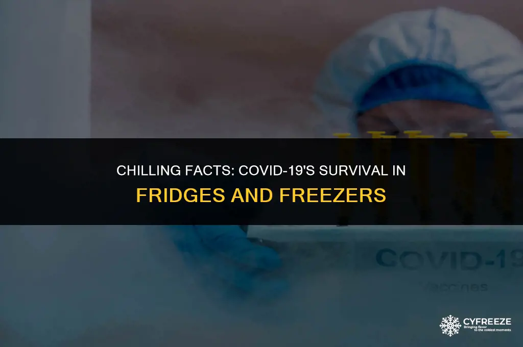 does covid 19 die in fridge or freezer