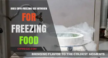 Cryo Freezing Food: Nitrogen's Role in Preserving Freshness Explained